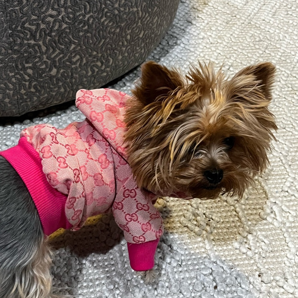 Beautiful inspired G doggy coat.  Message size - Picture 6 of 8